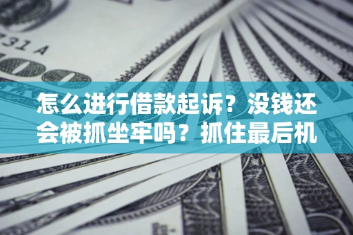 北京怎么进行借款起诉？没钱还会被抓坐牢吗？抓住最后机会！