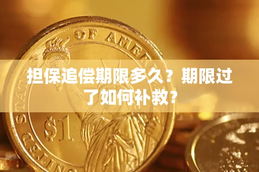 北京担保追偿期限多久？期限过了如何补救？