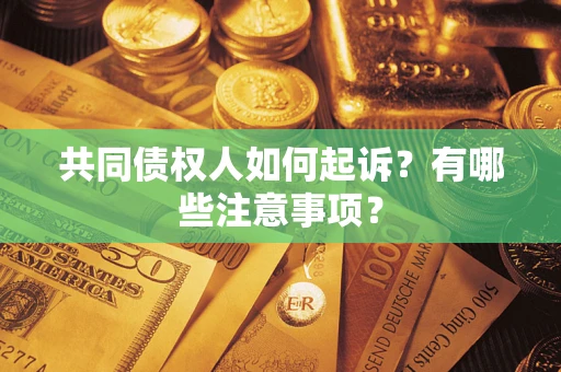 北京共同债权人如何起诉？有哪些注意事项？