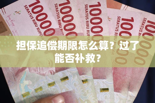 北京担保追偿期限怎么算？过了能否补救？
